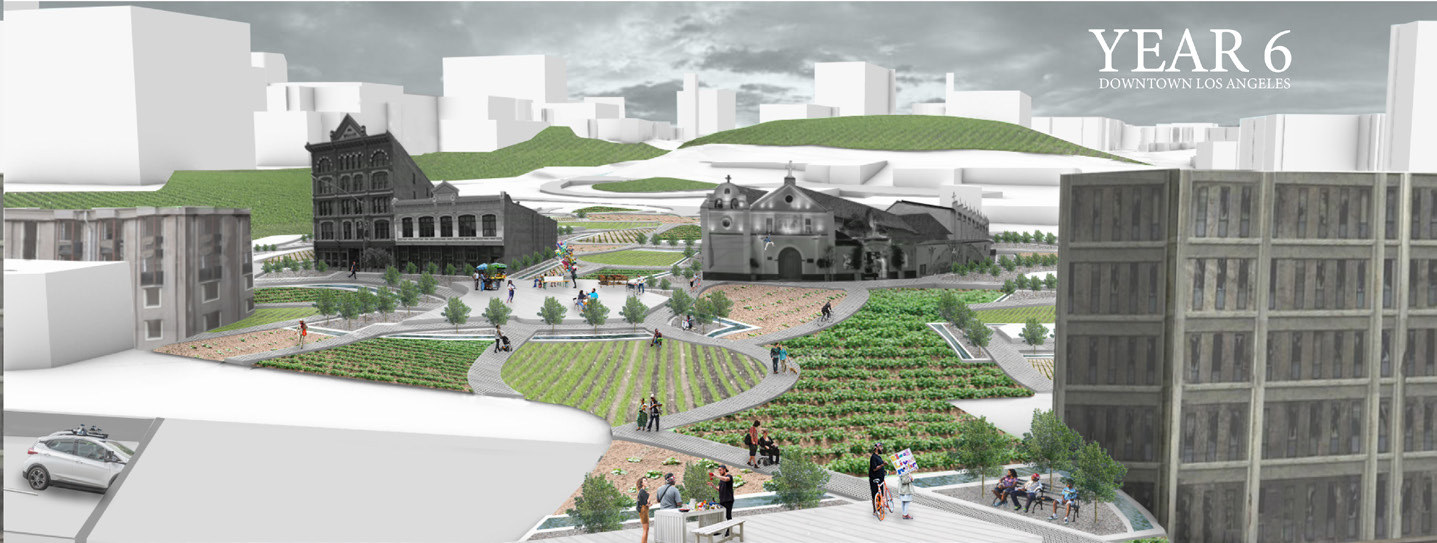 The site in year six