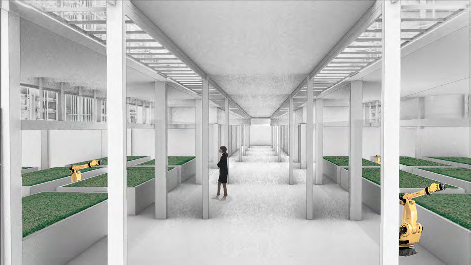 Growing hall
